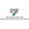 纽约州立大学-环境科学与林业科学学院