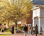 Common APP公布2021-2022美国大学早申请数据，申请人数大涨13.4%
